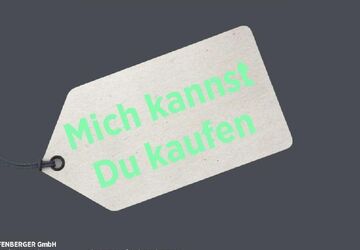 Ford Kuga 30.500 km 18.350 &euro; Ingersheim 74379