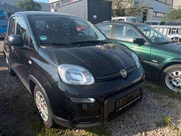 Gebrauchte Fiat Panda