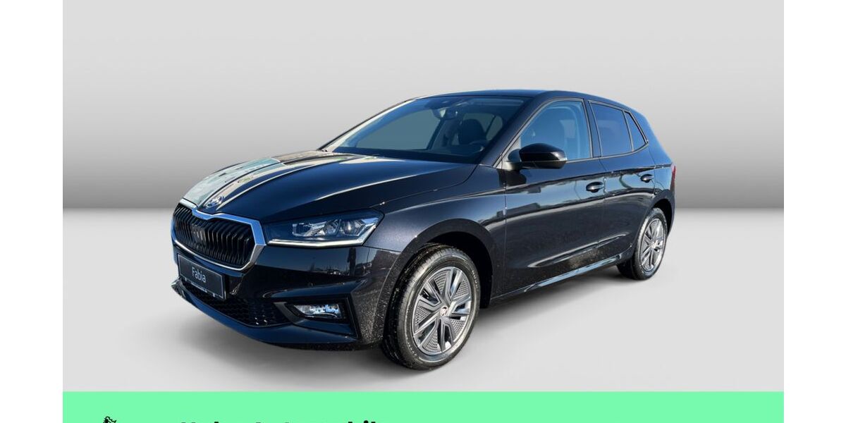 Skoda Fabia 1.111 km 26.890 &euro; Weinstadt-Endersbach 71384