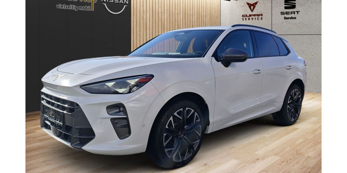 Cupra Terramar 17.200 km 42.990 &euro; Murr 71711