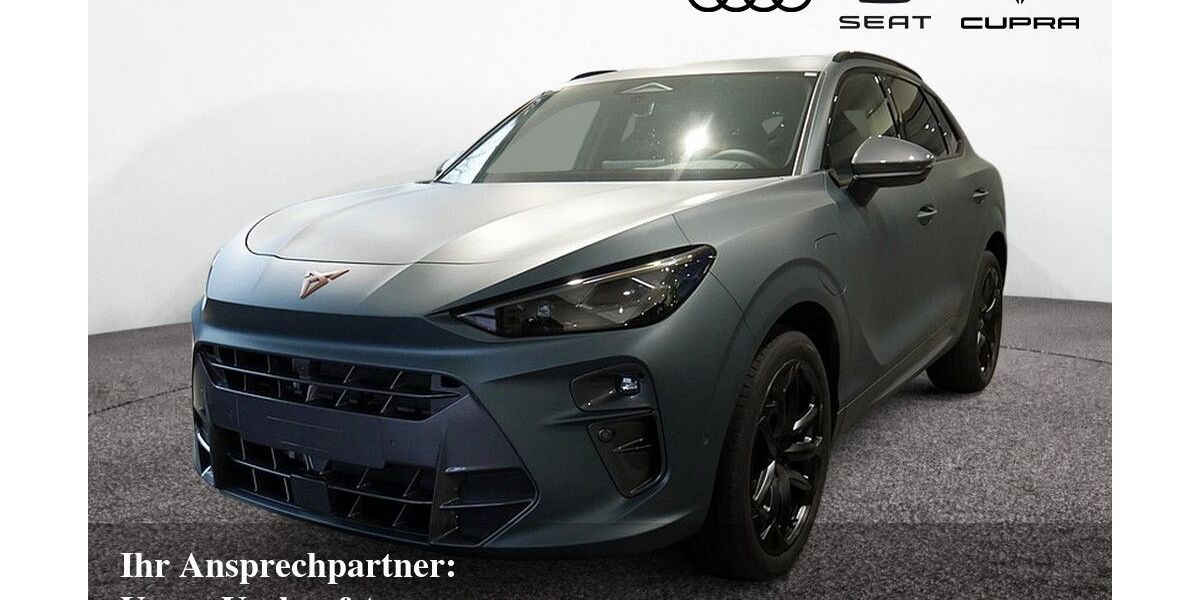 Cupra Terramar 7.500 km 51.190 &euro; Bietigheim-Bissingen 74321