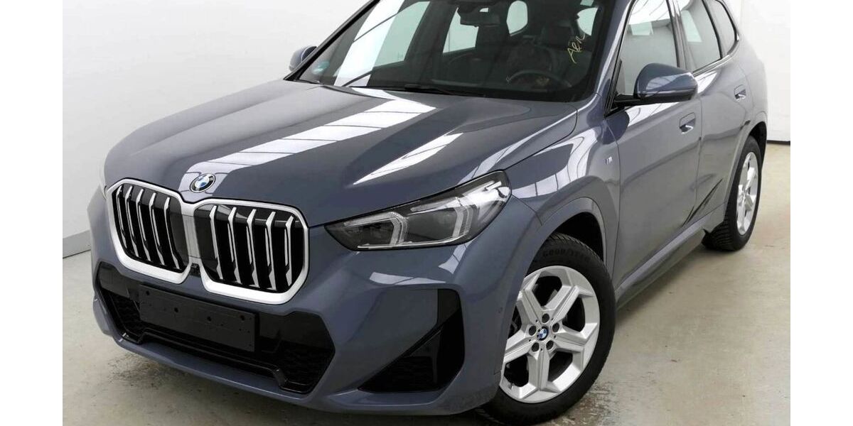 BMW X1 20.000 km 38.990 &euro; Böblingen 71032