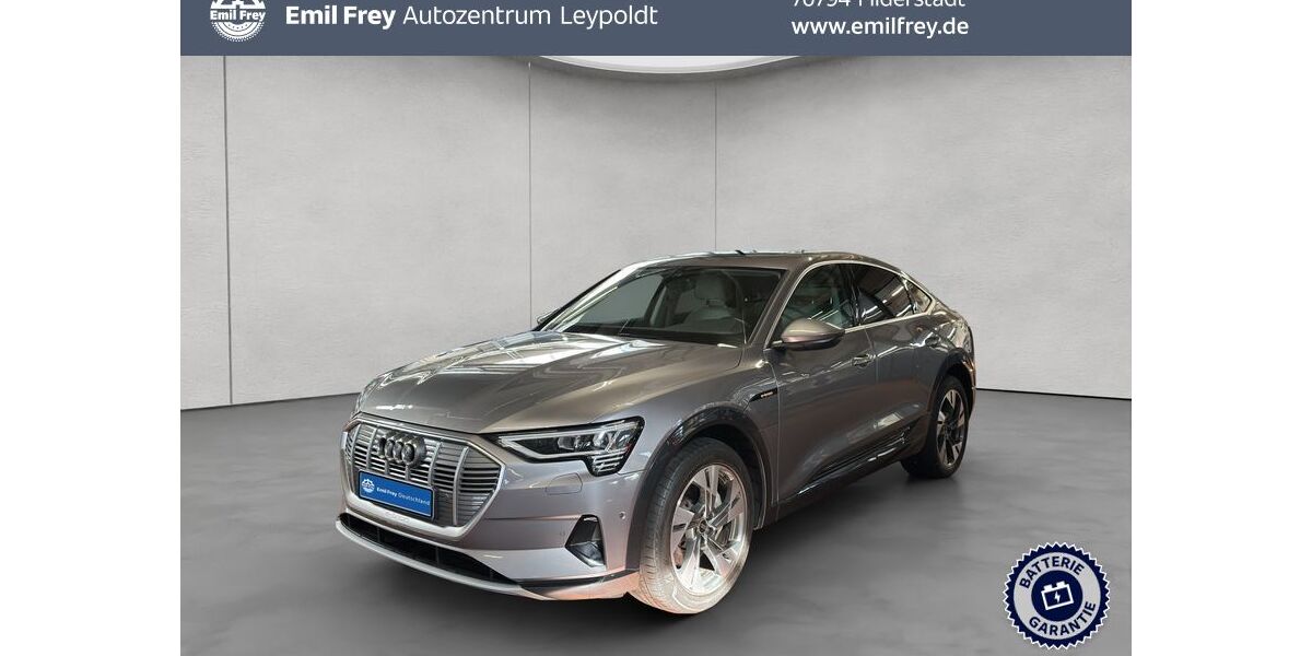 Audi e-tron 37.675 km 32.890 &euro; Filderstadt 70794