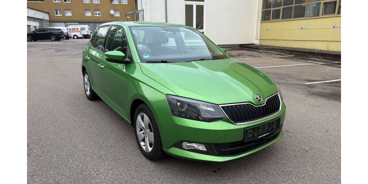 Skoda Fabia 118.950 km 7.999 &euro; Möglingen 71696