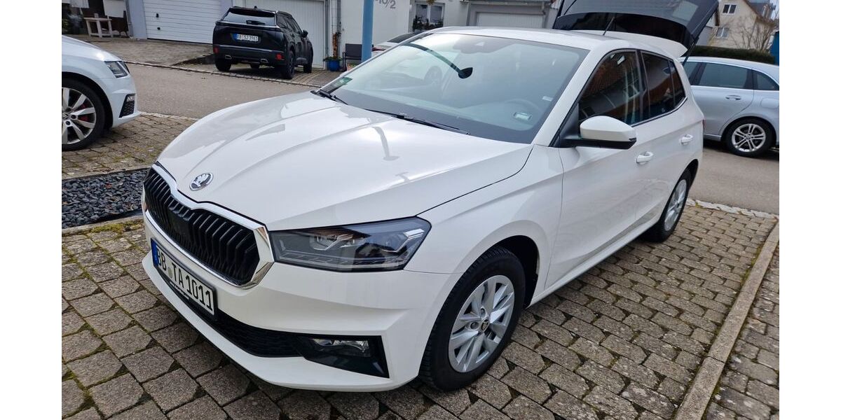 Skoda Fabia 9.100 km 18.500 &euro; Ehningen 71139