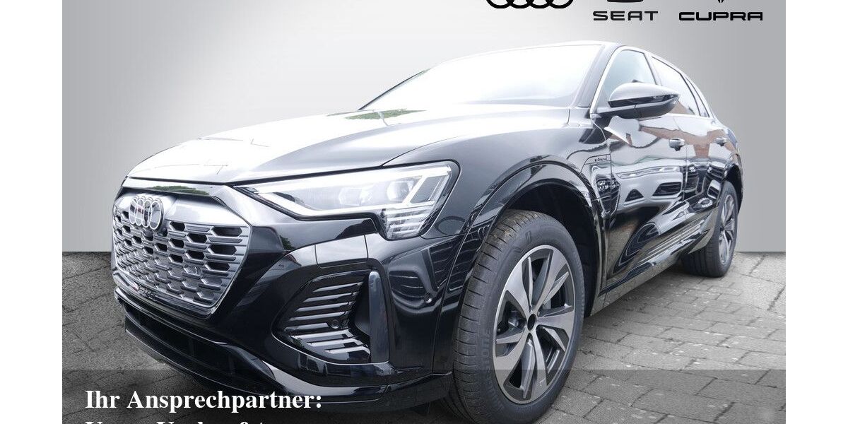 Audi Q8 e-tron 12.500 km 40.770 &euro; Bietigheim-Bissingen 74321