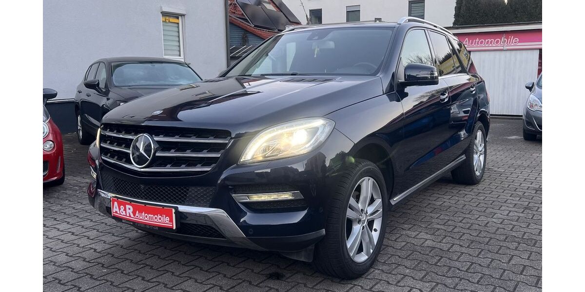 Mercedes-Benz ML 350 199.600 km 17.999 &euro; Kirchheim unter Teck 73230