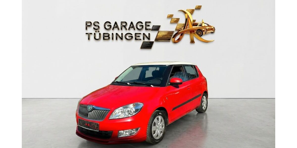 Skoda Fabia 219.000 km 2.399 &euro; Tübingen 72074